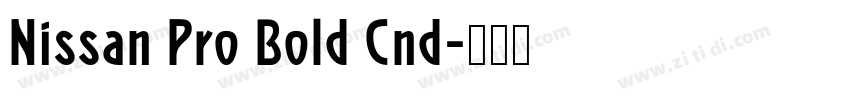 Nissan Pro Bold Cnd字体转换